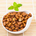 Original Healthy Food Grade Factory Direct Pine Nut Kernels